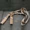 Adjustable Point Tactical Gun Sling with Bungee Support for Rifle Hunting & Airsoft