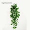 Artificial Ivy Vine Wall Hanging Indoor Greenery Decor