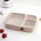 Eco Wheat Straw Bento Lunch Box Set Compartment Meal Prep Containers 7