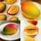 Cavity Silicone Cake Mold for Fruit Pudding & Mango Desserts