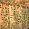 Ivy Leaf String Lights Warm White LED Vine Lights USB Indoor Decor
