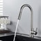 Premium Brushed Black Kitchen Faucet with Pull Out Sprayer & Swivel Spout