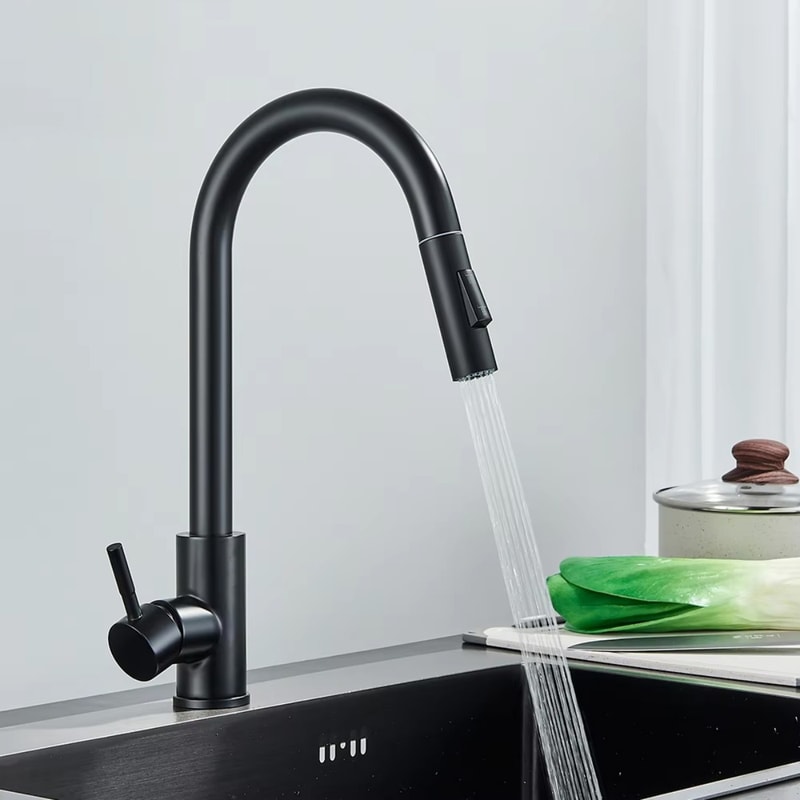Premium Brushed Black Kitchen Faucet with Pull Out Sprayer & Swivel Spout