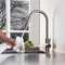 Premium Brushed Black Kitchen Faucet with Pull Out Sprayer & Swivel Spout