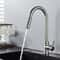 Premium Brushed Black Kitchen Faucet with Pull Out Sprayer & Swivel Spout