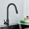 Premium Brushed Black Kitchen Faucet with Pull Out Sprayer & Swivel Spout