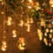 Warm White Ball Wishing Globe Lights Battery Powered String Lights for Bedroom & Party