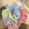 Deluxe Candy Color Hair Scrunchie Set Soft Elastic Hair Ties for Women & Girls