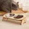 Double Cat Bowl Raised Stand Anti Knock Non Spill Pet Feeder For Cats And Small Dogs 2