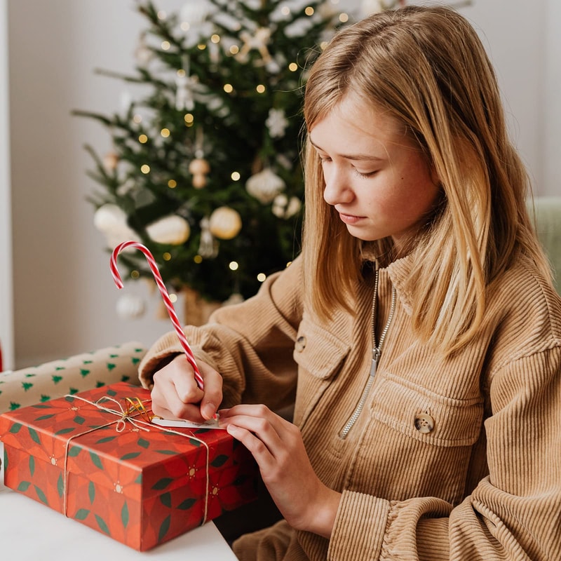Festive Candy Cane Ballpoint Pens Set Christmas Writing Gift Set