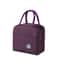 Insulated Lunch Bag Leakproof Thermal Lunch Tote for Work School Travel