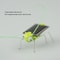 Solar Powered Grasshopper Toy STEM Science Kit for Kids Educational Moving Insect Toy
