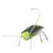 Solar Powered Grasshopper Toy STEM Science Kit for Kids Educational Moving Insect Toy