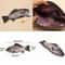 Realistic Fish Pencil Case Cute Carp Makeup And Pencil Pouch Organizer 4