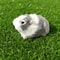 Realistic Guinea Pig Plush Toy Soft Lifelike Hamster Stuffed Animal Gift for Kids