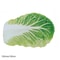 Creative Cabbage Blanket Soft Flannel Novelty Throw for Cozy Sofa Comfort