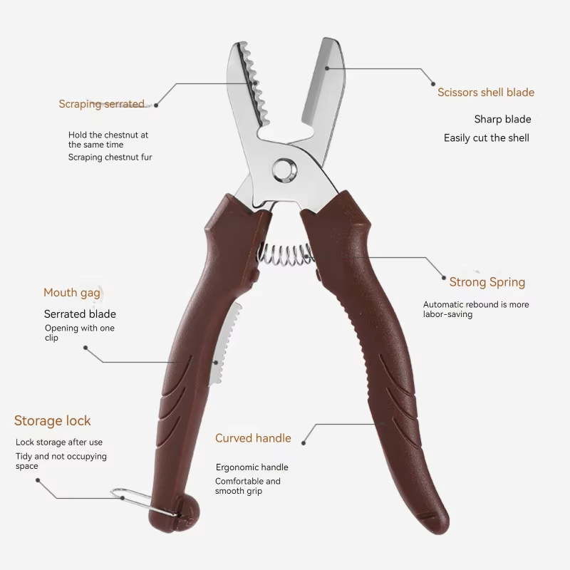 Stainless Steel Chestnut Cutter and Peeler Tool Safe Cross Cut Nut Shell Opener