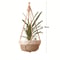 Handmade Macrame Plant Hanger Indoor Outdoor Hanging Planter Basket
