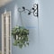 European Iron Wall Plant Hanger Bracket For Hanging Planters And Flower Pots 3