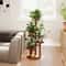 Tier Wooden Plant Stand Indoor Outdoor Corner Shelf for Multiple Plants