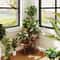 Tier Wooden Plant Stand Indoor Outdoor Corner Shelf for Multiple Plants