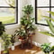 Tier Wooden Plant Stand Indoor Outdoor Corner Shelf for Multiple Plants