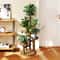 Tier Wooden Plant Stand Indoor Outdoor Corner Shelf for Multiple Plants