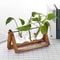 Wooden Frame Hydroponic Terrarium Glass Vase Tabletop Planter For Modern Home Decor 2