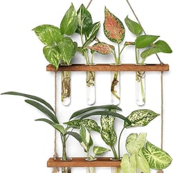 tier wall hanging planter with glass terrarium vase & wooden frame