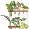 Tier Wall Hanging Planter with Glass Terrarium Vase & Wooden Frame