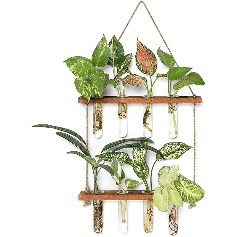 Tier Wall Hanging Planter with Glass Terrarium Vase & Wooden Frame