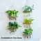 Tier Wall Hanging Planter with Glass Terrarium Vase & Wooden Frame