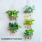 Tier Wall Hanging Planter with Glass Terrarium Vase & Wooden Frame