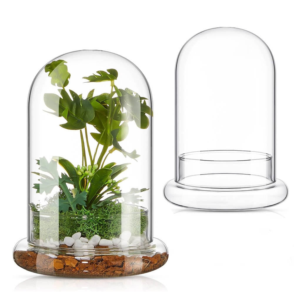 Elegant Glass Cloche Terrarium Dome With Base For Plant Display Case Decor 0