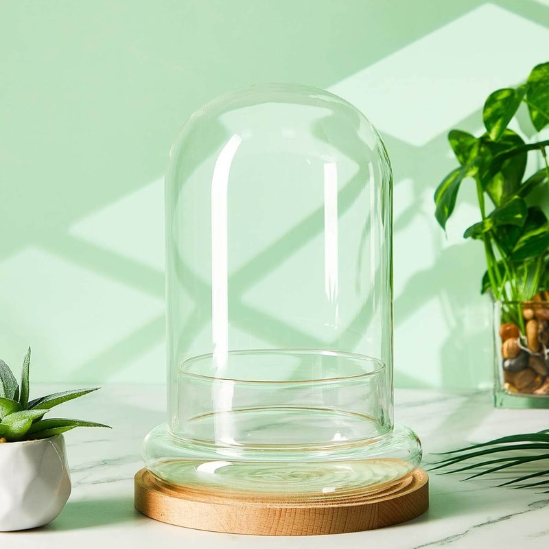 Elegant Glass Cloche Terrarium Dome With Base For Plant Display Case Decor 1