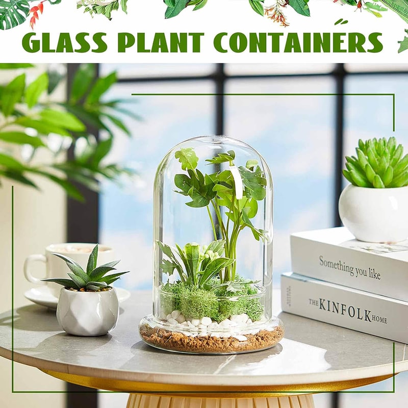 Elegant Glass Cloche Terrarium Dome With Base For Plant Display Case Decor 2