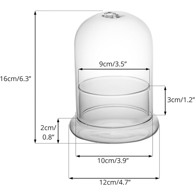 Elegant Glass Cloche Terrarium Dome With Base For Plant Display Case Decor 6