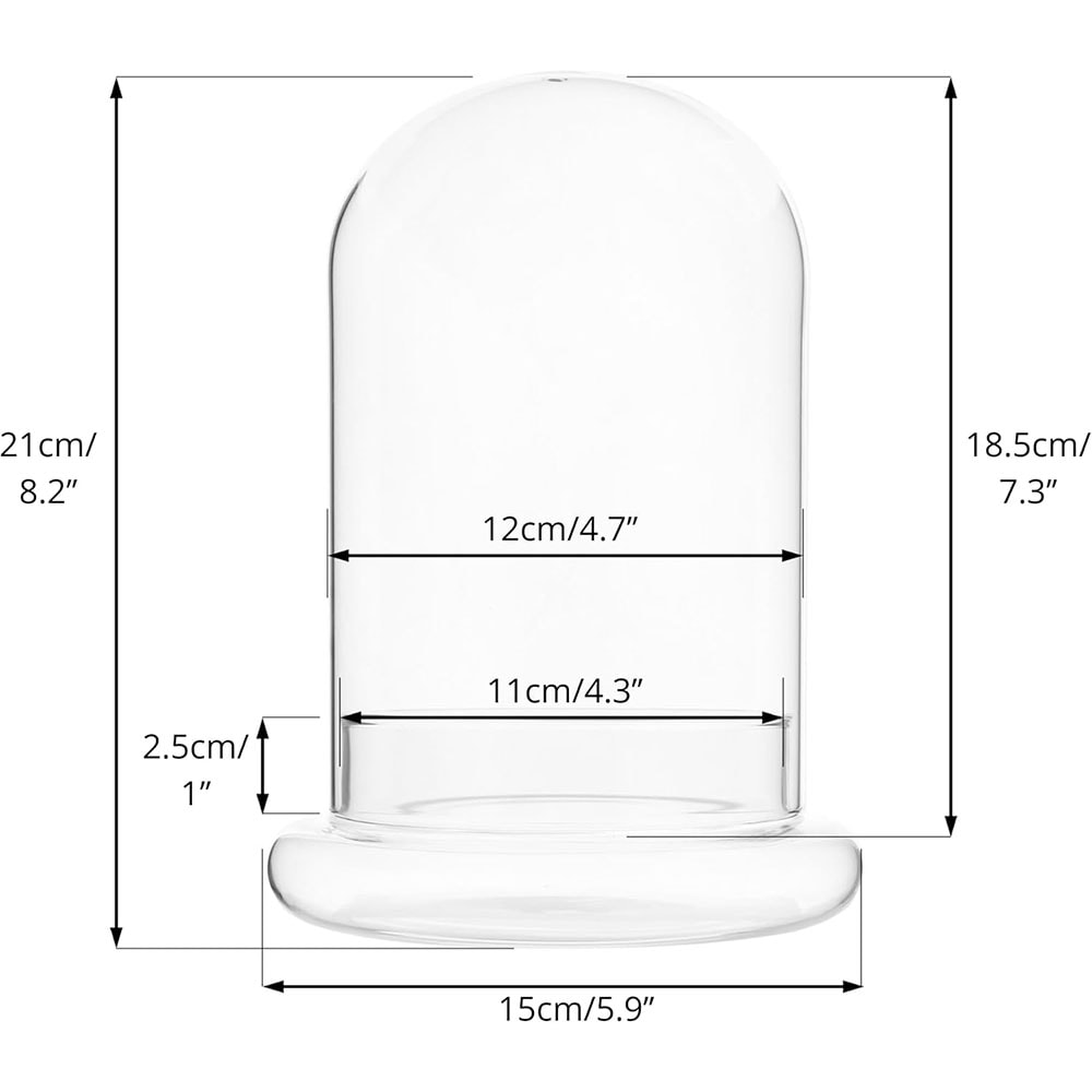 Elegant Glass Cloche Terrarium Dome With Base For Plant Display Case Decor 7