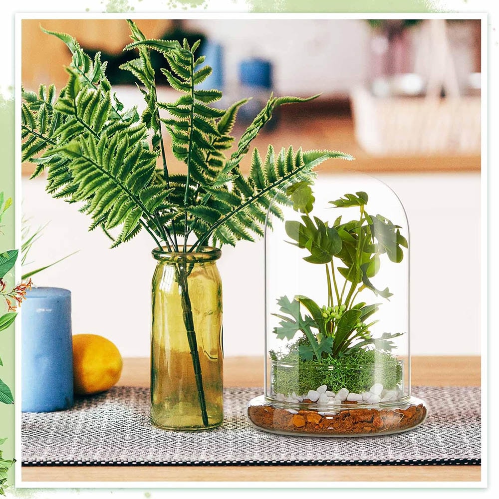 Elegant Glass Cloche Terrarium Dome With Base For Plant Display Case Decor 5