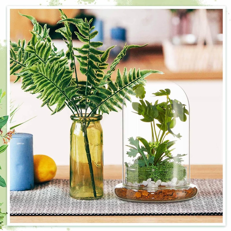 Elegant Glass Cloche Terrarium Dome With Base For Plant Display Case Decor 5