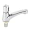 Push Button Time Delay Sink Faucet Water Saving Copper Tap for Bathroom Kitchen