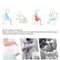 Portable Folding Bidet Bottle for Postpartum Care & perineal wash bottle