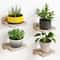 Pack Small Floating Shelves Wood Display Ledges For Wall Compact Decor Storage 7