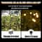 Solar Firefly Garden Lights Outdoor Waterproof Swaying LED Pathway Lights 2