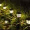 Solar Pathway Lights Pack Waterproof Outdoor Garden Lights for Yard Walkway Decor