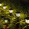 Solar Pathway Lights Pack Waterproof Outdoor Garden Lights for Yard Walkway Decor