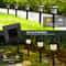 Solar Pathway Lights Pack Waterproof Outdoor Garden Lights for Yard Walkway Decor
