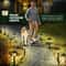 Solar Pathway Lights Pack Waterproof Outdoor Garden Lights for Yard Walkway Decor