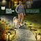 Solar Pathway Lights Pack Waterproof Outdoor Garden Lights for Yard Walkway Decor
