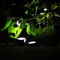 Solar RGB Garden Spotlights Pack Waterproof Landscape Lights